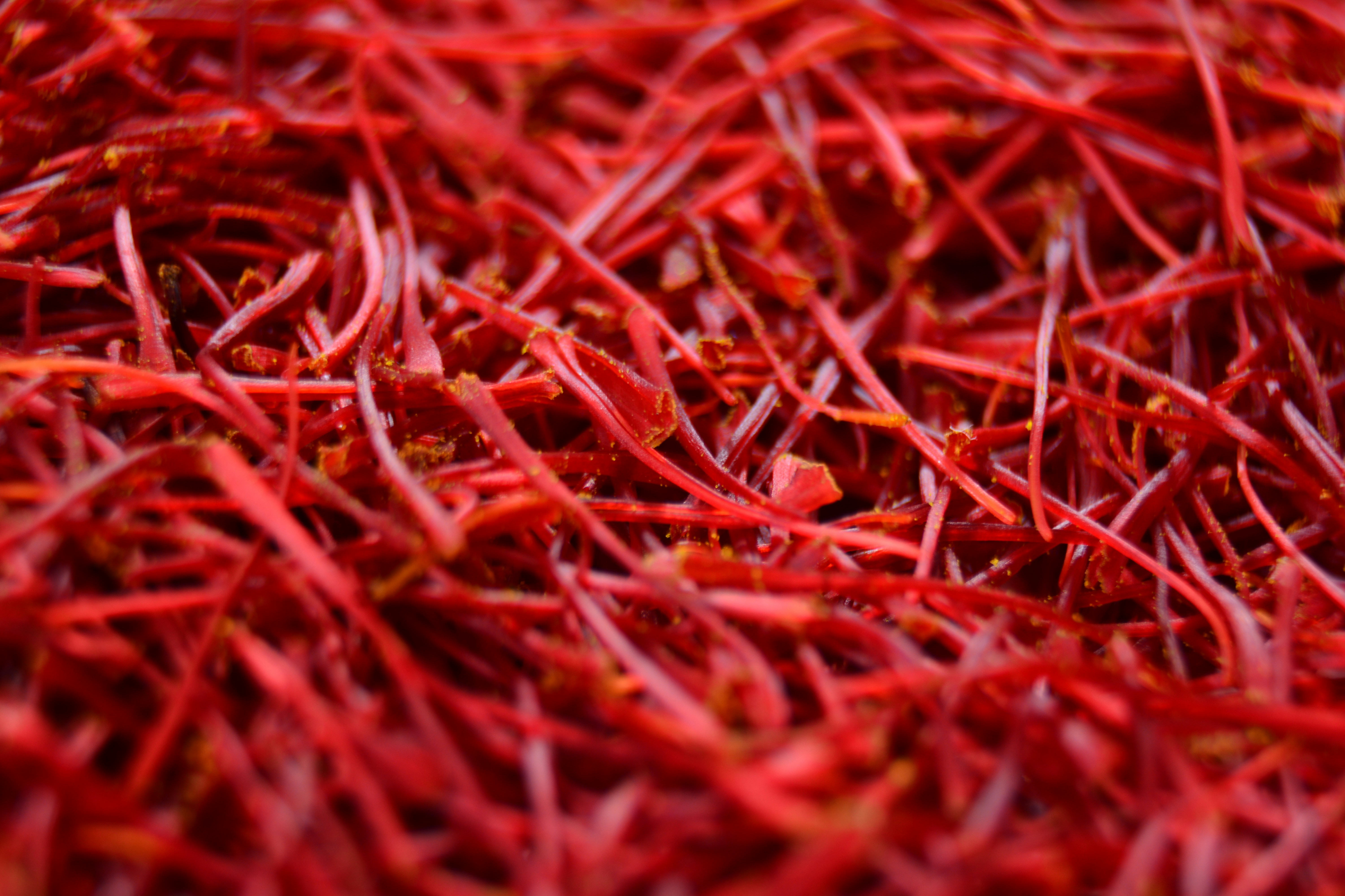 Close-up texture of vibrant saffron threads